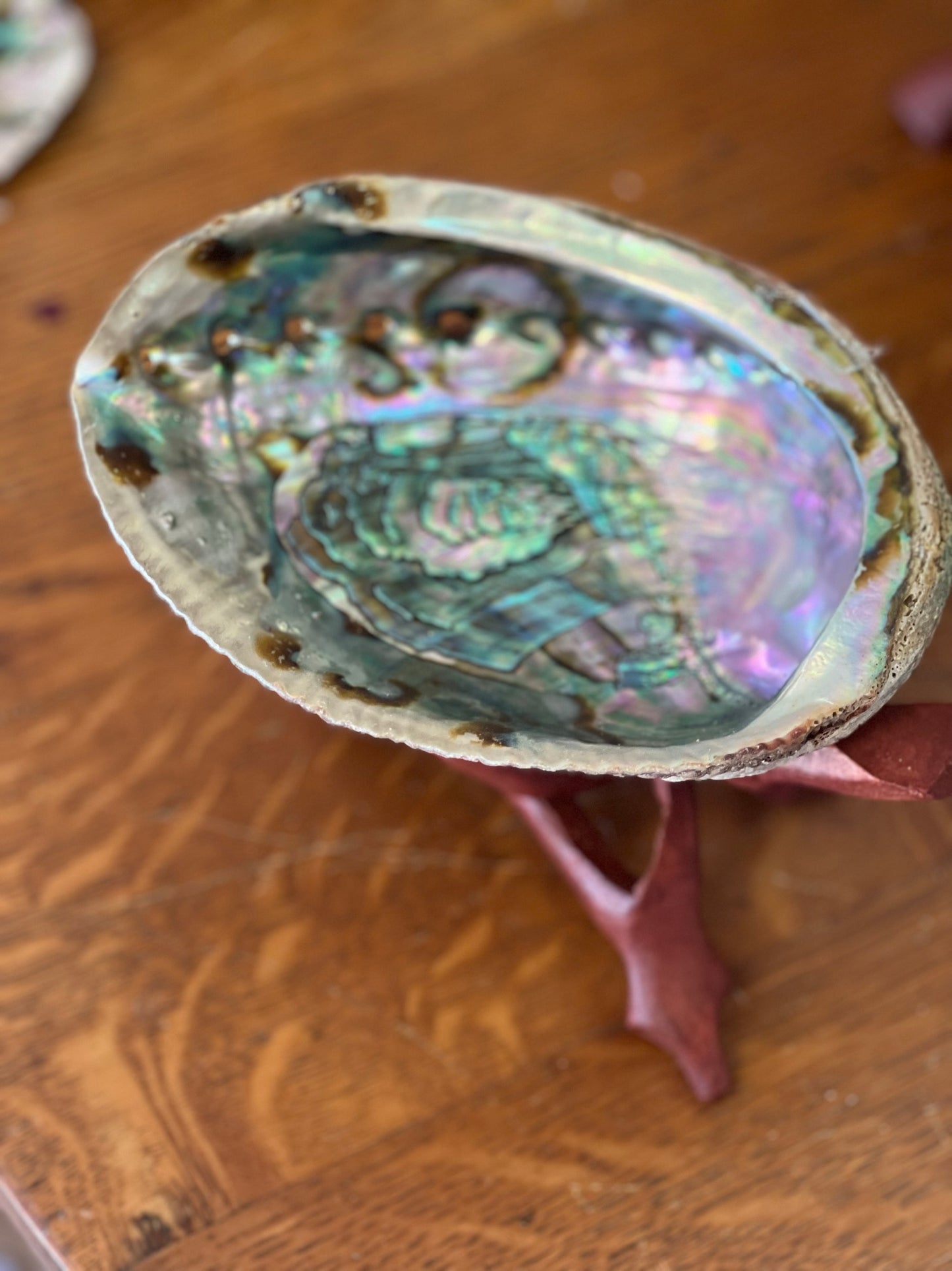 Abalone Shell & Tripod